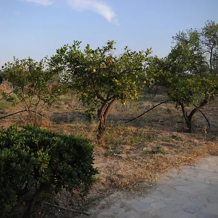 Holiday home στον λεμονόκηπο Nerantza