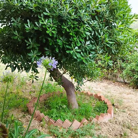 στον λεμονόκηπο Holiday home Nerantza