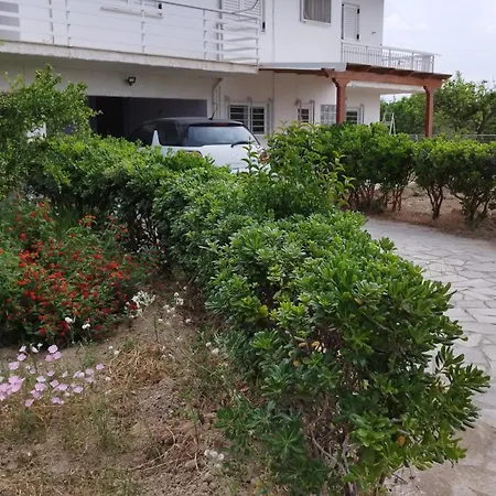στον λεμονόκηπο *