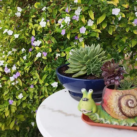 στον λεμονόκηπο Holiday home *