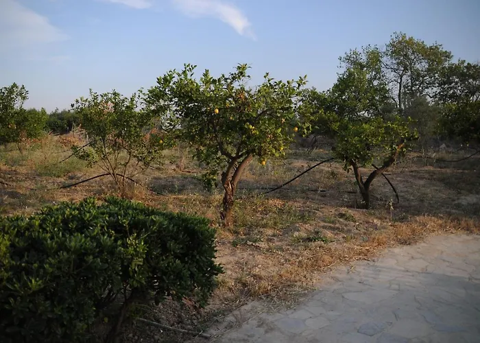 Vakantiehuis στον λεμονόκηπο Nerántza