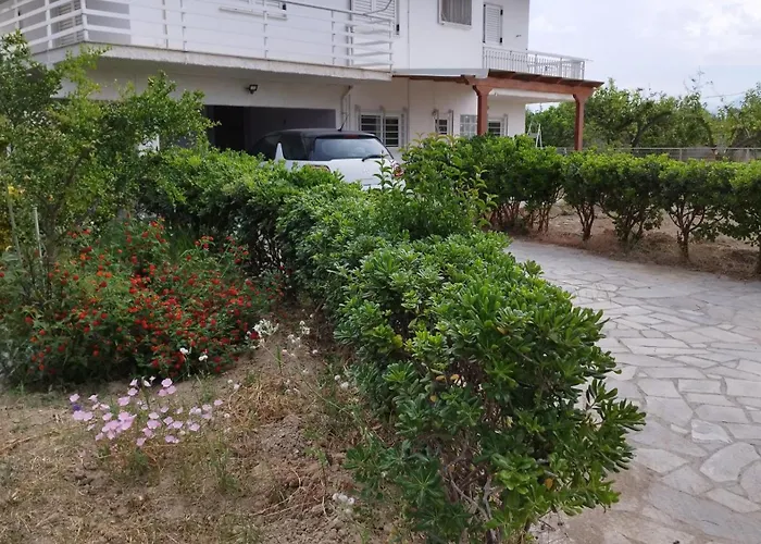 στον λεμονόκηπο *