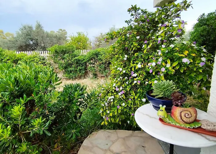 στον λεμονόκηπο