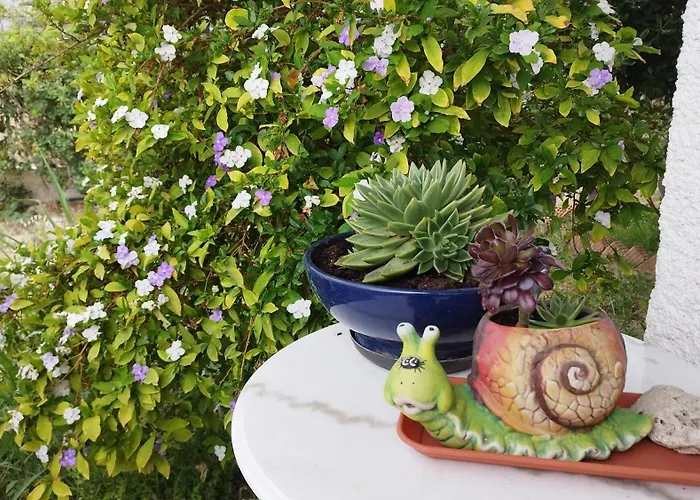 στον λεμονόκηπο Vakantiehuis *