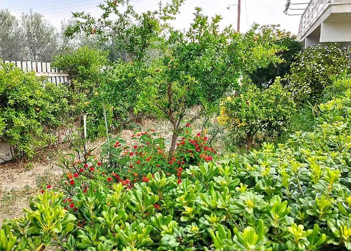 στον λεμονόκηπο Vakantiehuis *